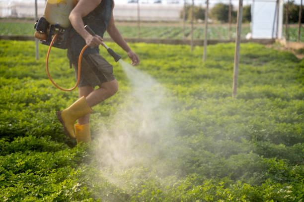 Best Flea Control Services  in Maltby, WA